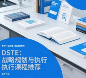 2025年DSTE流程的目标介绍
