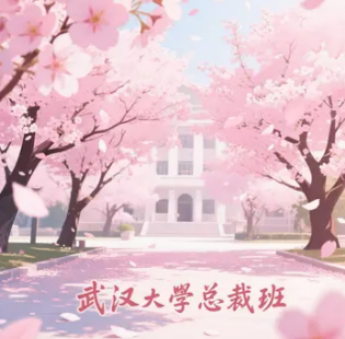 2025年武大总裁班 学费多少