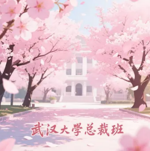 武大总裁班企业可以做内训班吗（可以定制）