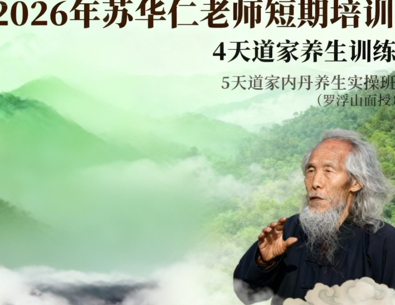 2025年苏华仁动功怎么样？