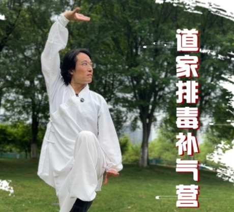 2026年刘圆印排毒营怎么样？