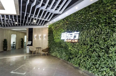 云南新东方 k12 文化课班发布（内容，特色，报名指南）