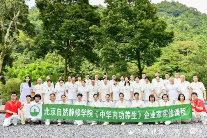 哪里有培训站桩的地方？武当山秘境闭关，自然桩中华内功等你来练