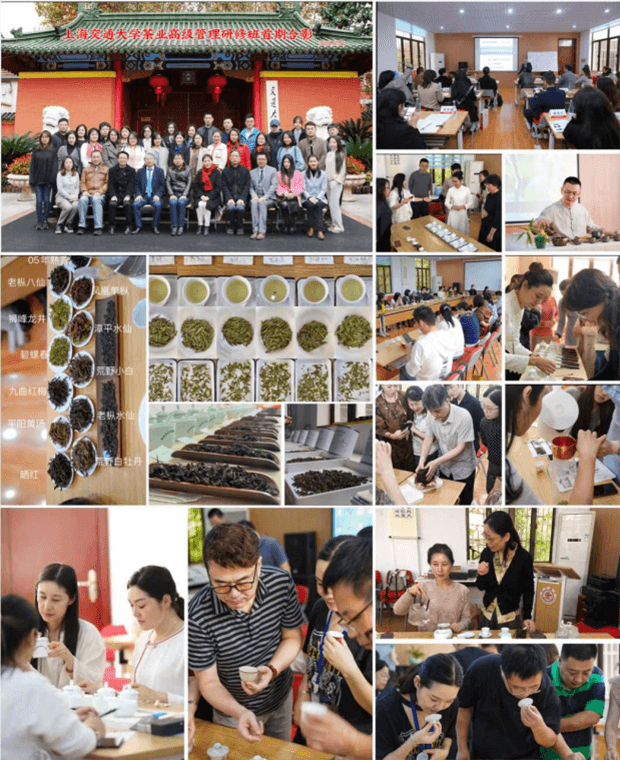 上海交通大学茶业高级管理研修班课程资料
