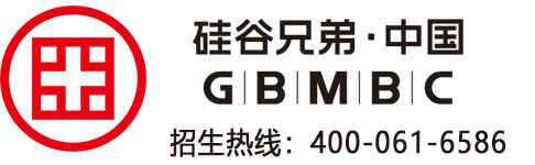硅谷兄弟·中国