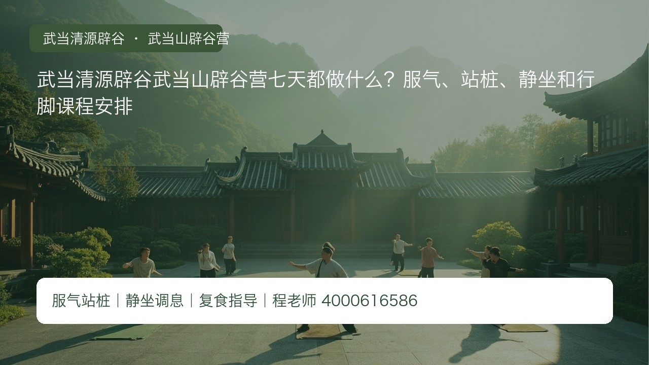 武当清源辟谷武当山辟谷营七天都做什么？服气、站桩、静坐和行脚课程安排