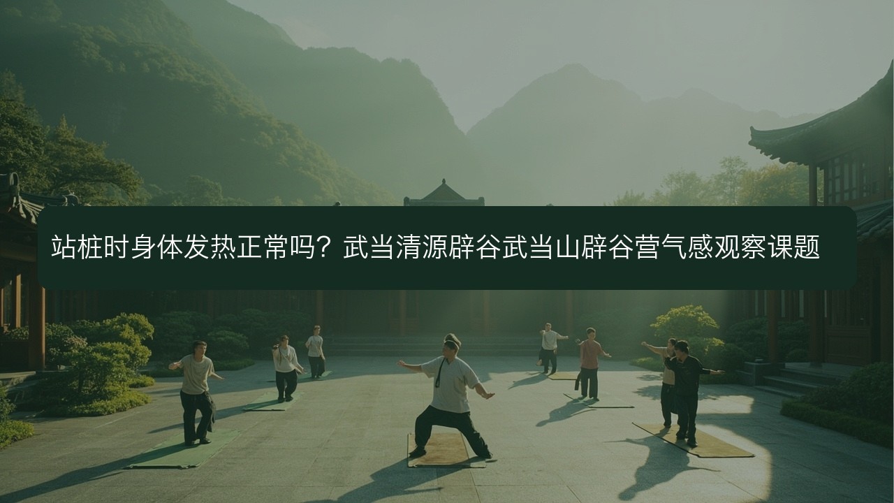 站桩时身体发热正常吗?武当清源辟谷武当山辟谷营气感观察课题