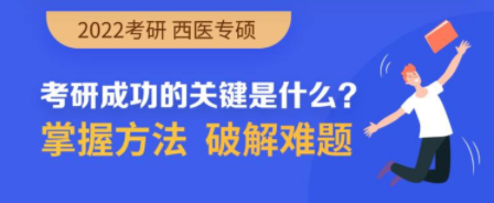 图片33.png