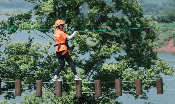 5 (1).png