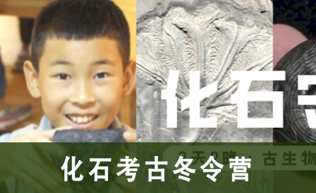 2023浙中少年化石考古冬令营来源课程海报