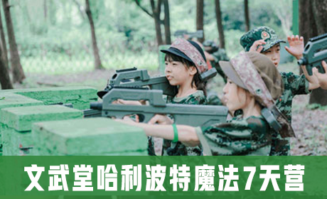 文武堂哈利波特魔法7天营来源课程海报