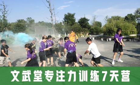 文武堂专注力训练7天营