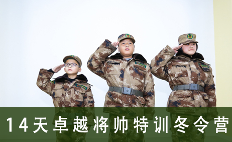 14天卓越将帅特训冬令营