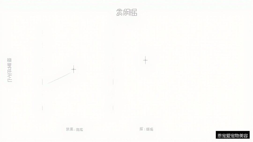 宠物美容培训收费图