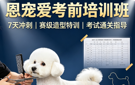 恩宠爱考前培训班来源课程海报