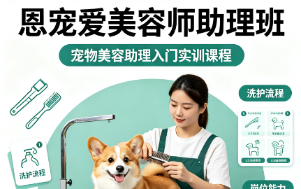 恩宠爱美容师助理班来源课程海报