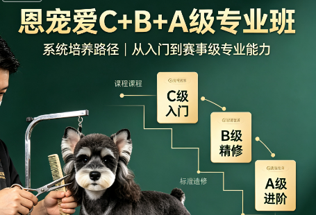 恩宠爱C+B+A级专业班来源课程海报