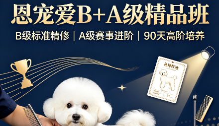 恩宠爱B+A级精品班来源课程海报
