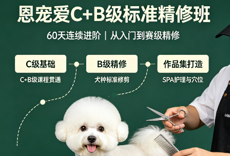 恩宠爱C+B级标准精修班来源课程海报
