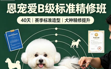 恩宠爱B级标准精修班来源课程海报