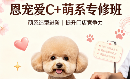 恩宠爱C+萌系专修班来源课程海报
