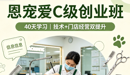 恩宠爱C级创业班来源课程海报
