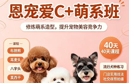 恩宠爱C+萌系班来源课程海报