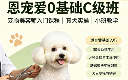 恩宠爱0基础C级班来源课程海报