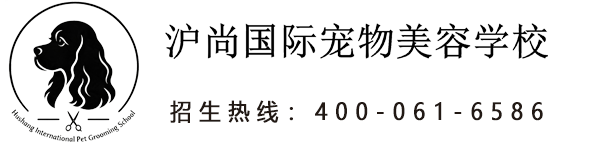 沪尚国际宠物美容培训学校