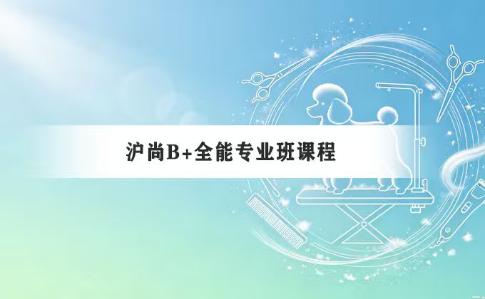 沪尚国际宠物美容培训学校来源课程资料