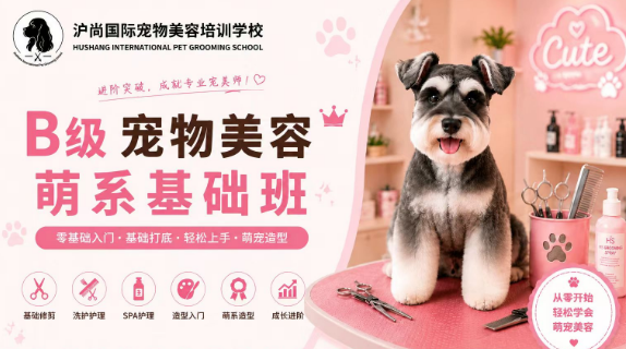 沪尚B级萌系基础班课程来源课程海报