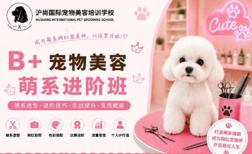 沪尚B+萌系进阶班课程来源课程海报