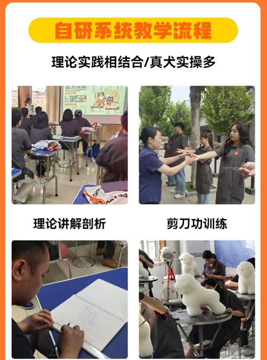 课程相关配图