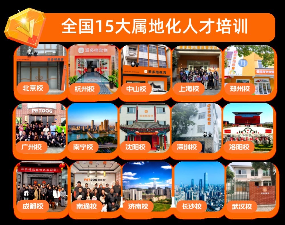 派多格宠物美容培训学校20年连锁办学:零基础学宠物美容怎么判断课程配图2