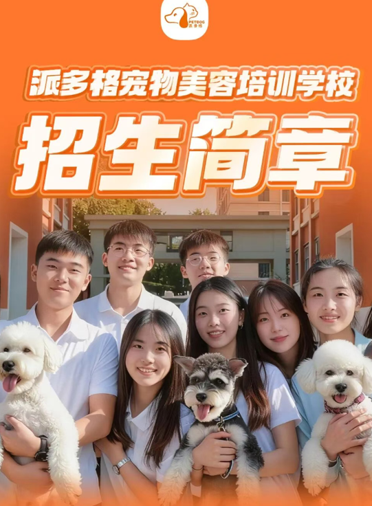 课程相关配图
