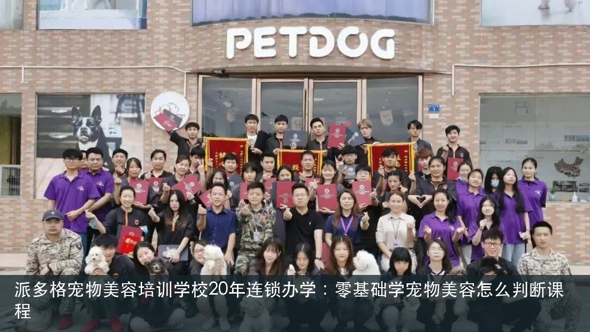 派多格宠物美容培训学校20年连锁办学:零基础学宠物美容怎么判断课程封面