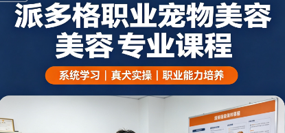 派多格职业宠物美容专业课程来源课程海报