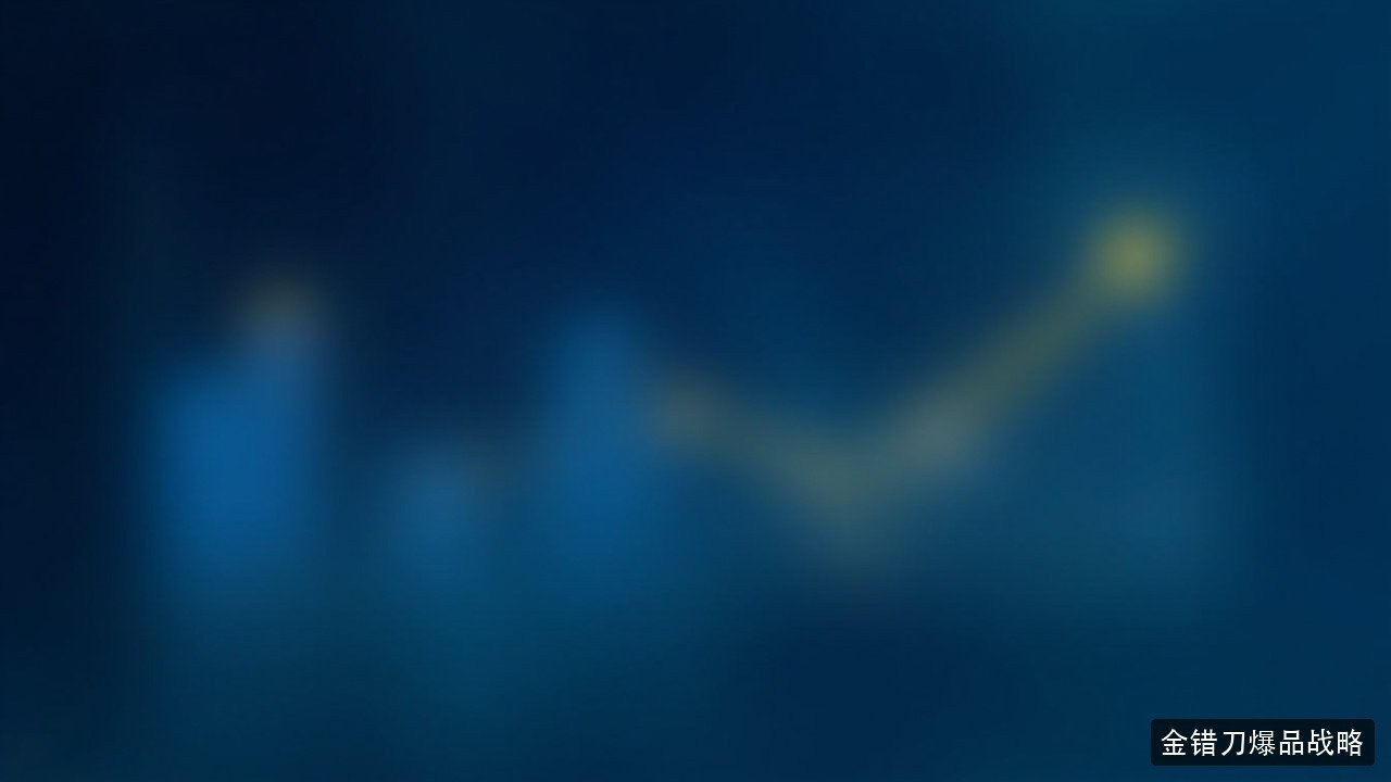 金错刀战略大单品增长系统班