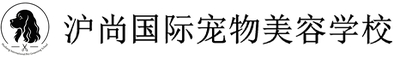 https://www.xuexivip.cn/ueditor/php/upload/image/20261007/1791386112909011.png