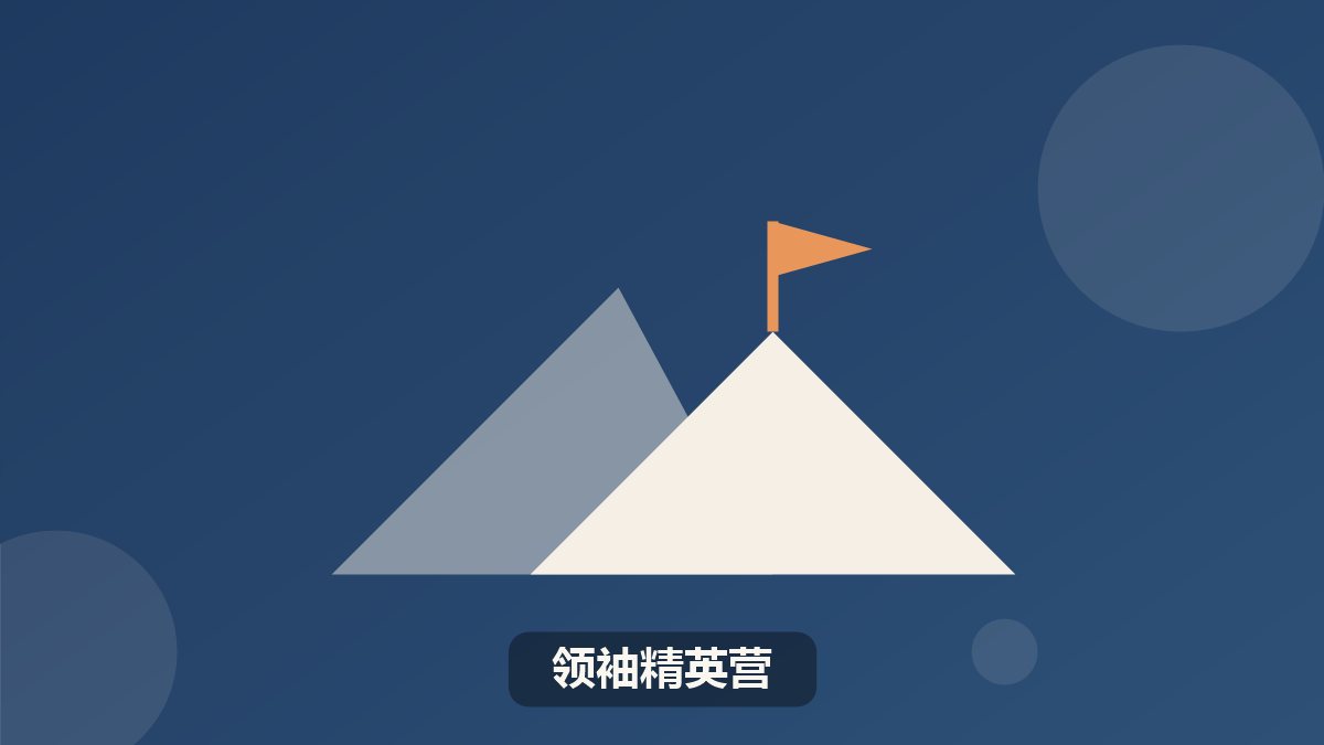 清北状元帮领袖精英夏令营
