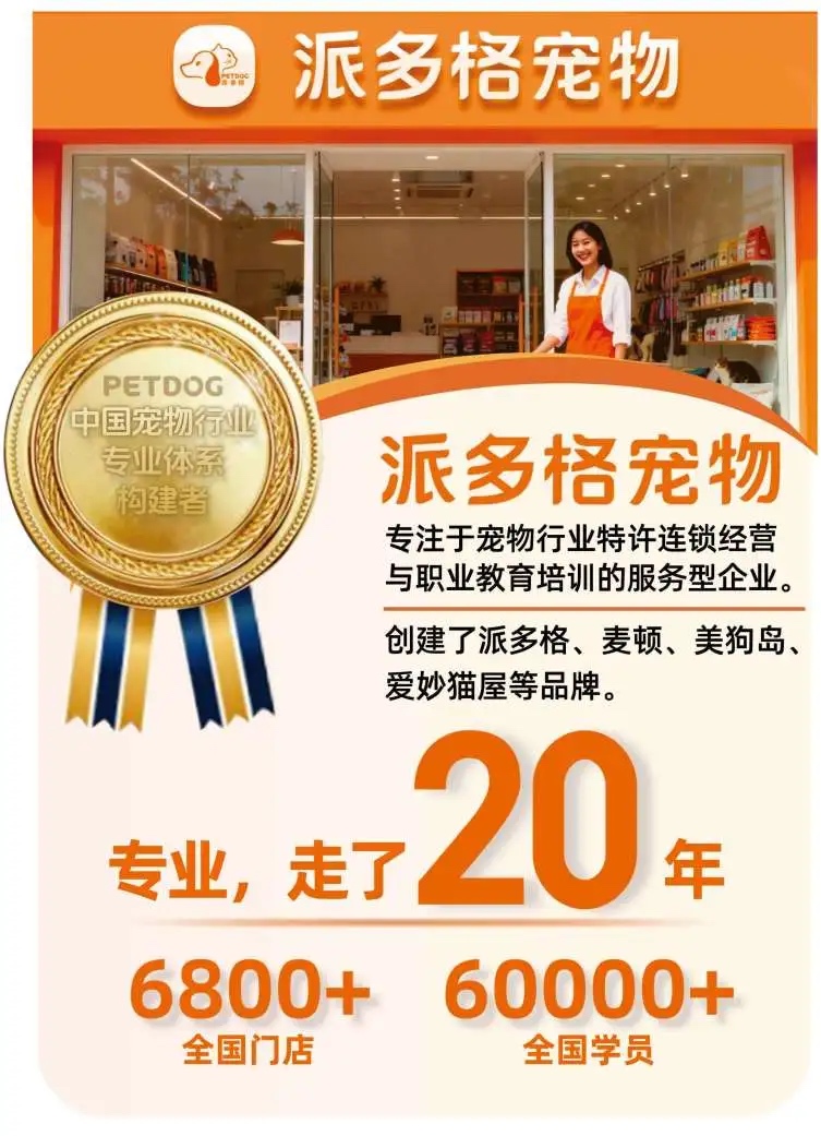 派多格CB品牌创业班课程原图7